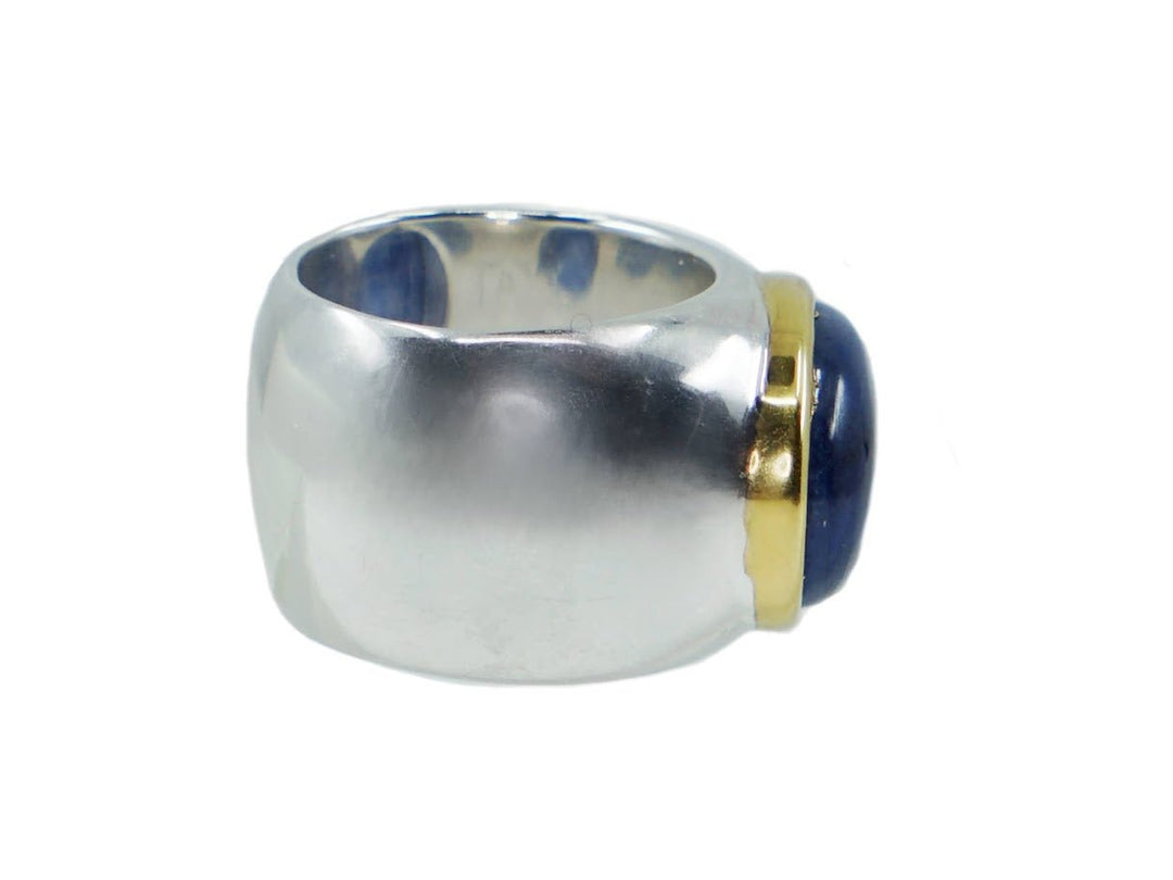 Gold/Silver Kyanite Tube Ring