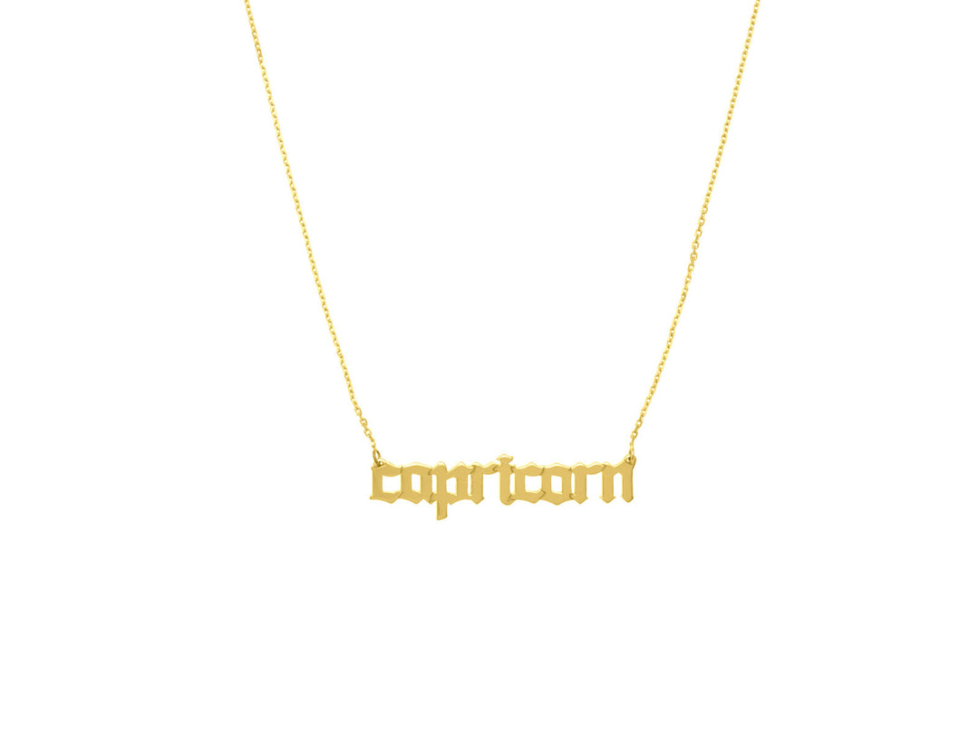 14k Gothic Capricorn Necklace