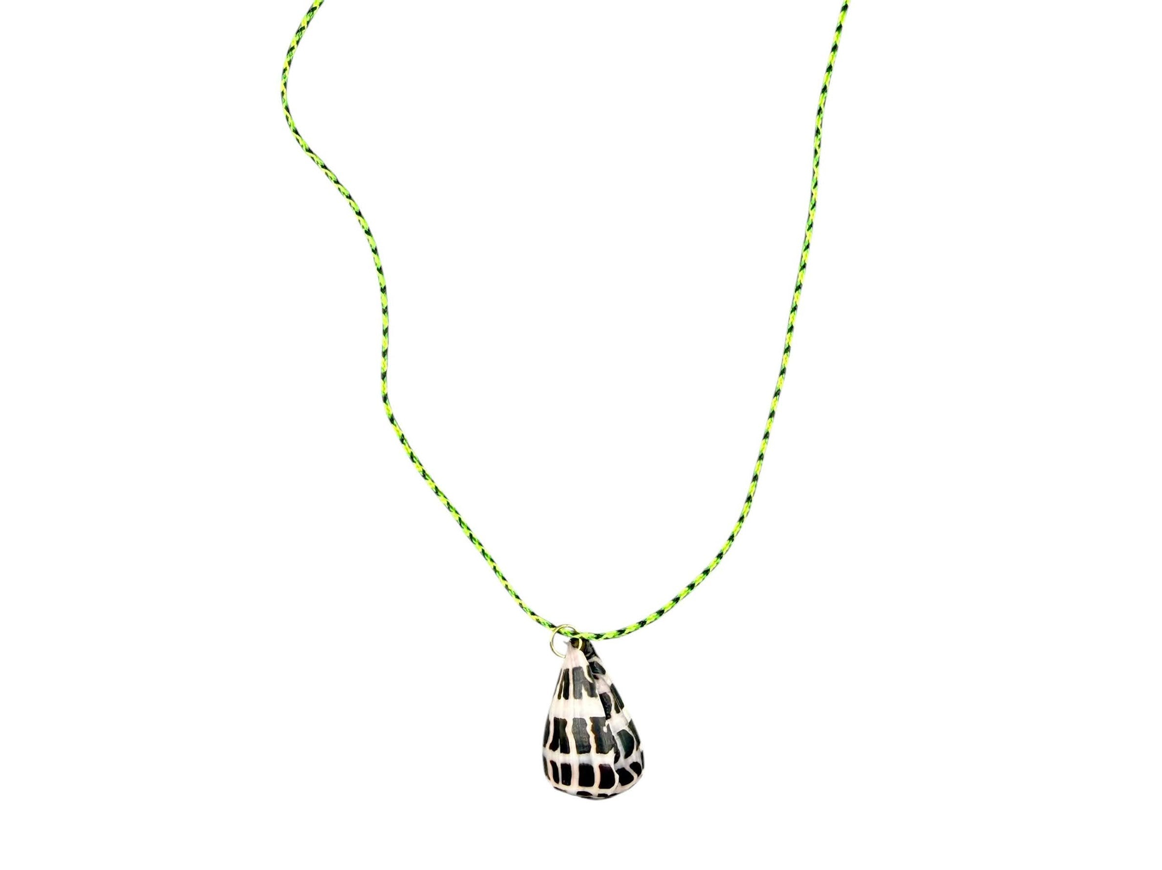 Cone Shell on Green/Black Cord Necklace