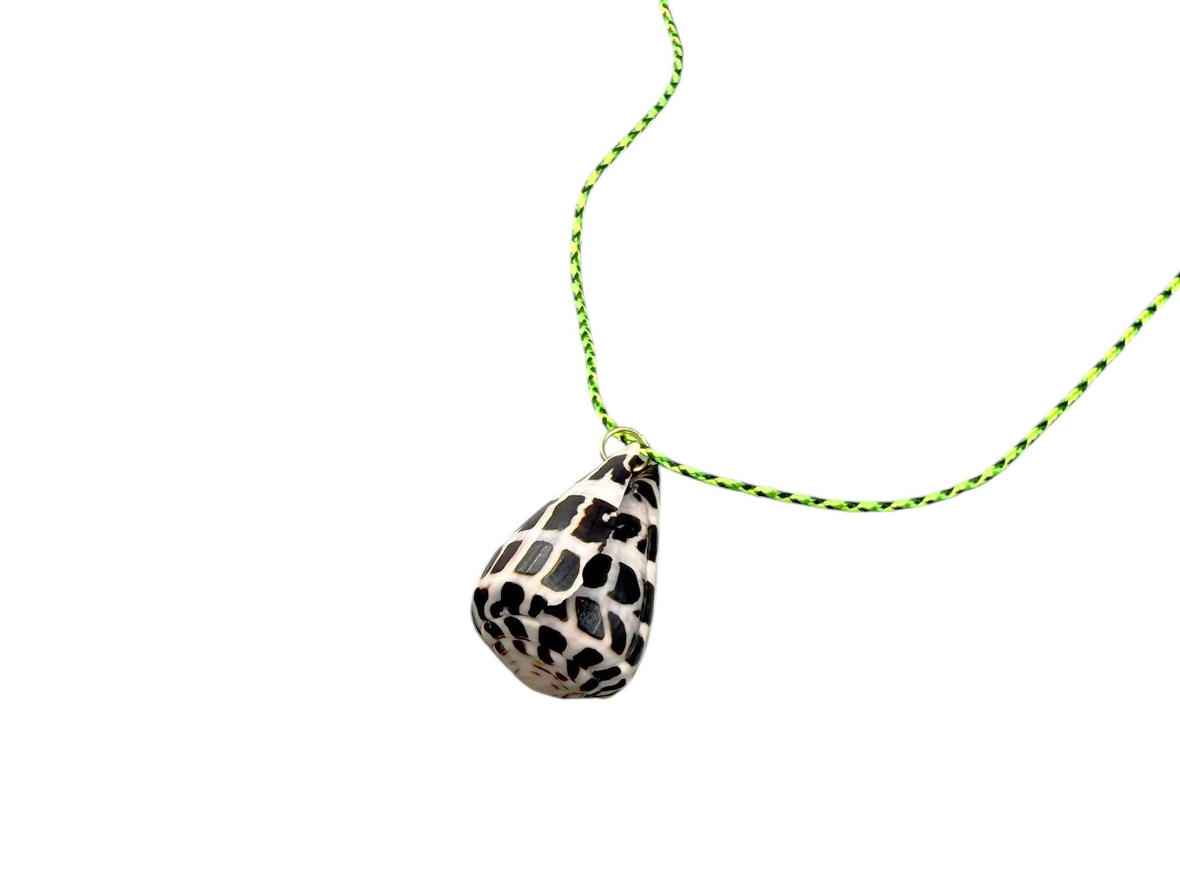 Cone Shell on Green/Black Cord Necklace