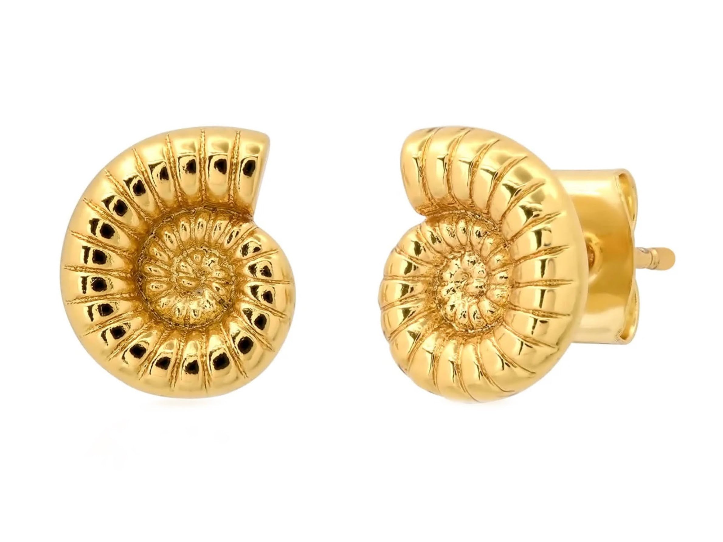 Gold Ammonite Stud Earrings