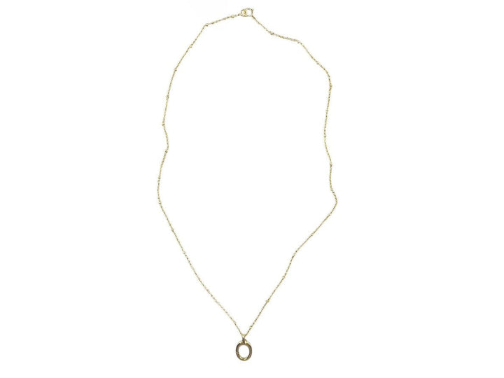 Gold Satellite Chain with Charm Holder