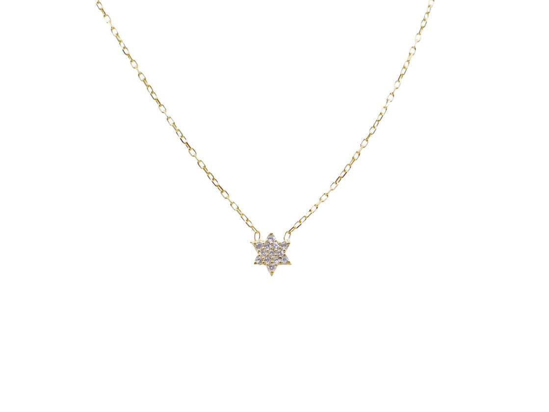 Delicate Star of David Necklace