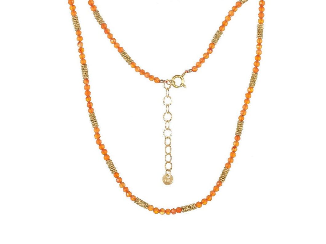 Carnelian and Gold Disc Necklace