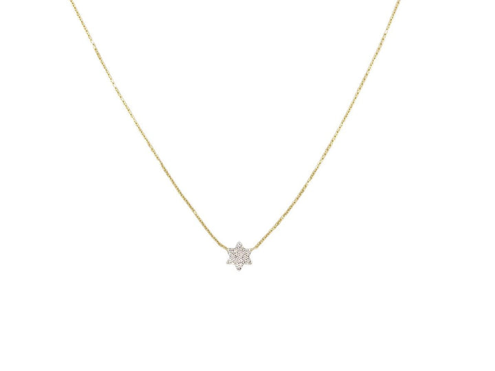 14k Diamond Star of David Necklace