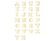 Load image into Gallery viewer, 14k Mini Gold Initials Earrings
