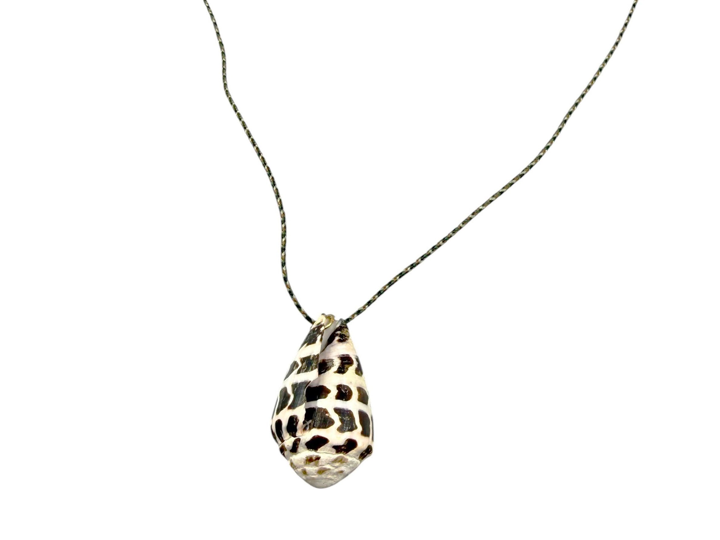 Cone Shell on Gray/Black Cord Necklace