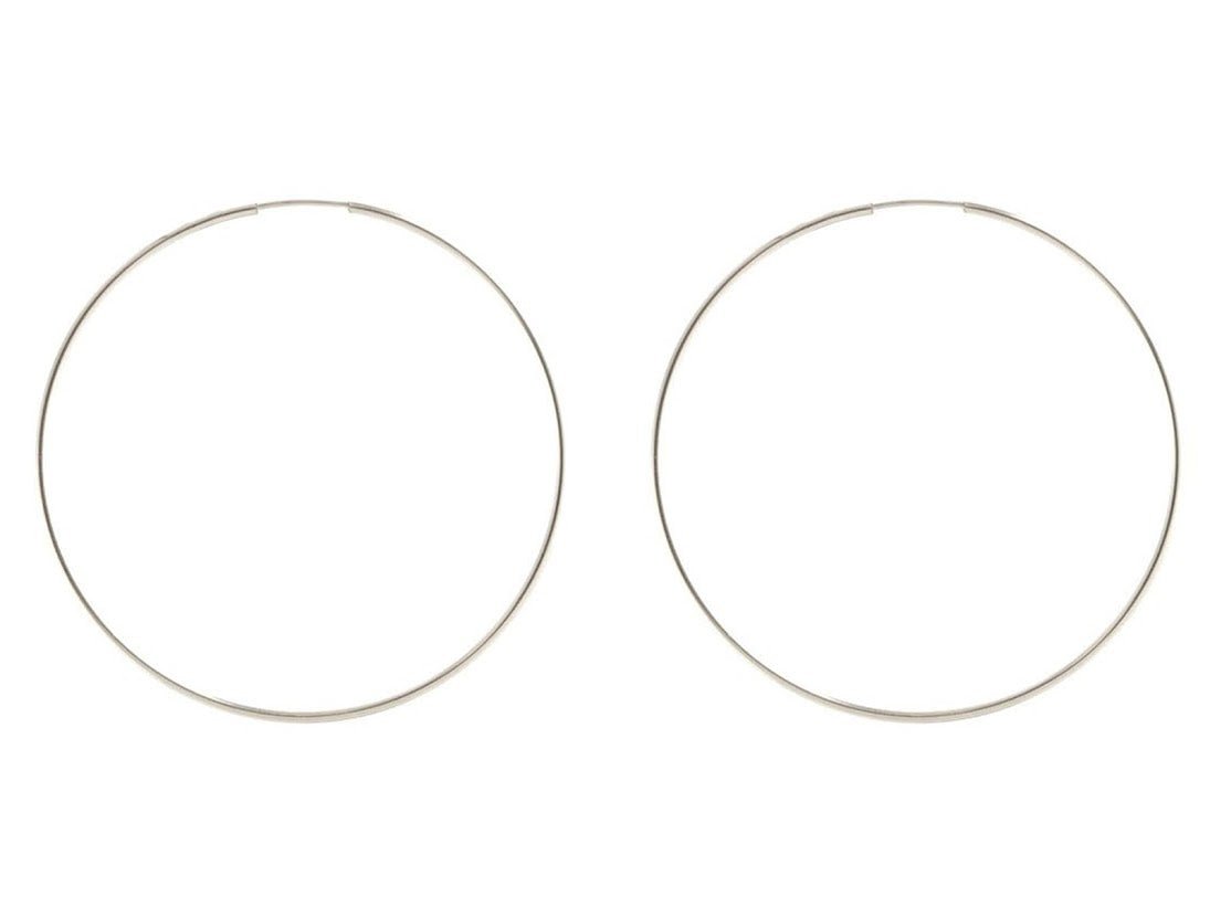 Featherweight Hoop Earrings