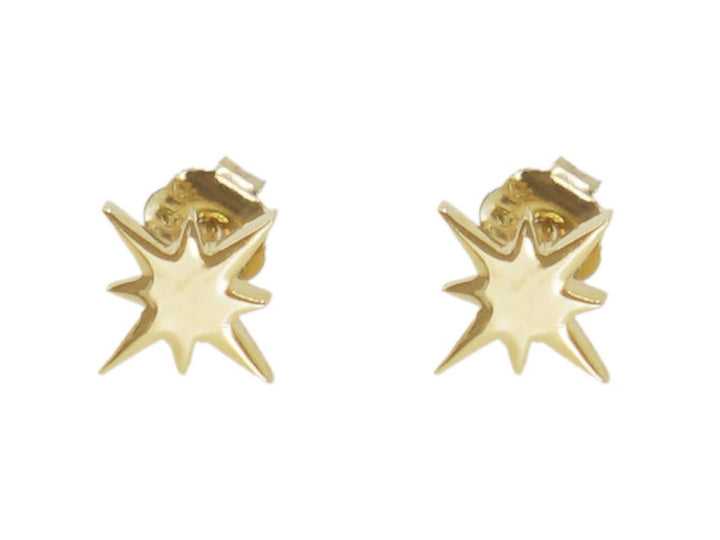 14k Star Earrings