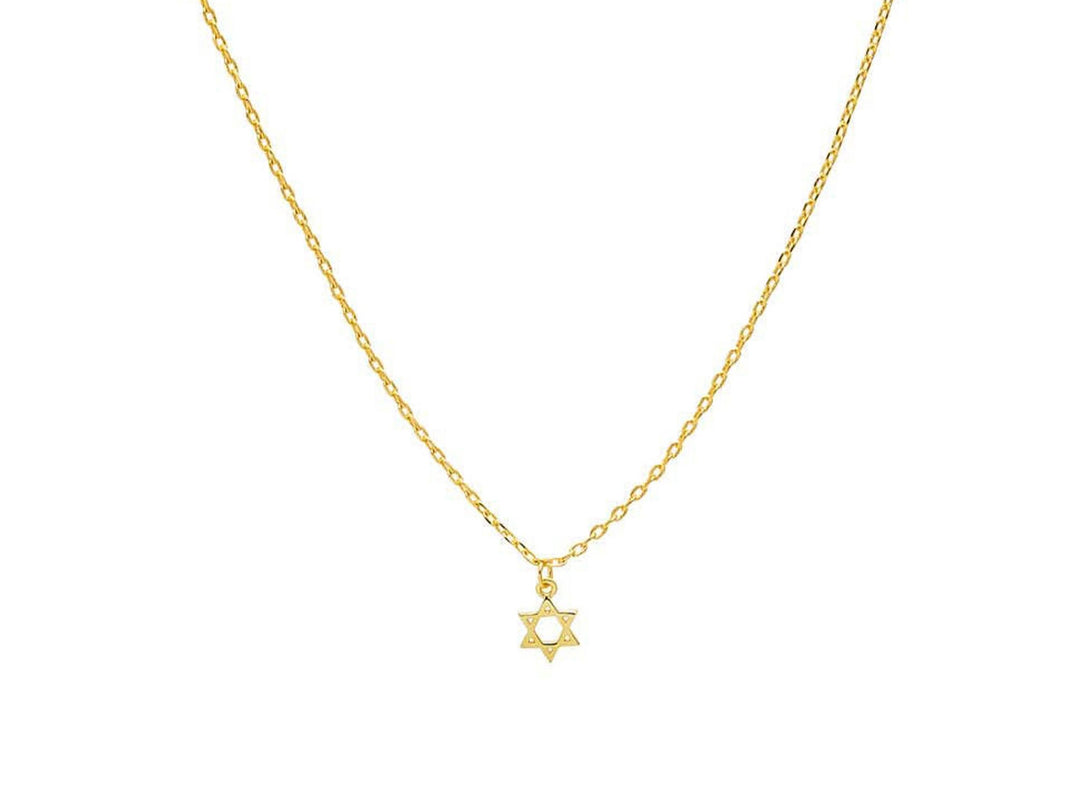 Gold Dainty Star of David Necklace