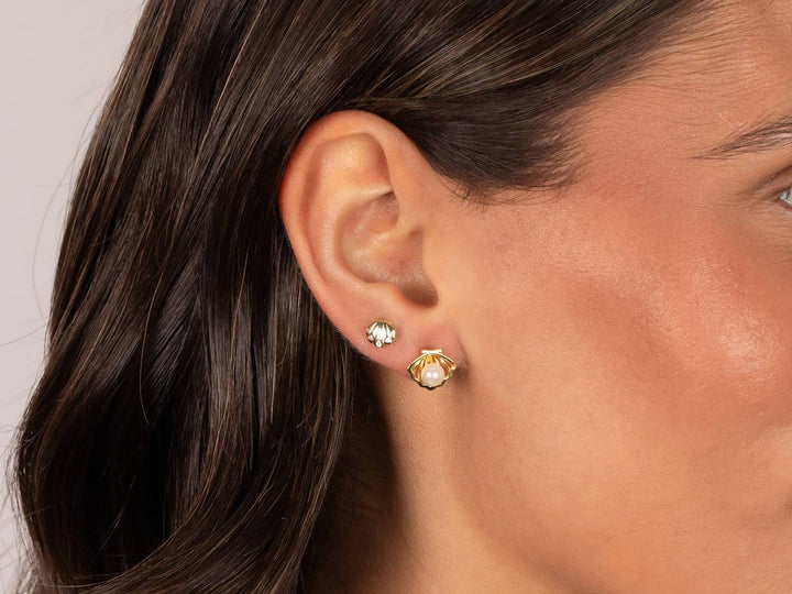 Seashell Stud Earrings with CZs