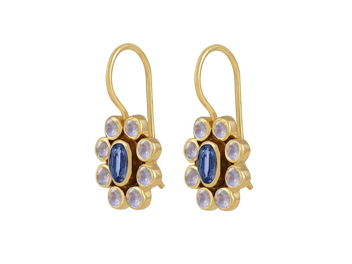 Kyanite and Moonstone Drop Earrings