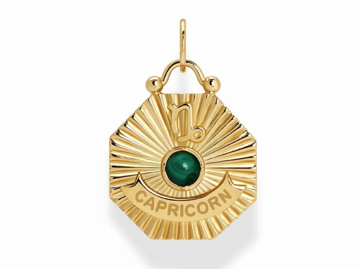 Capricorn Charm with Malachite and CZs